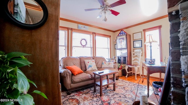 living room featuring ceiling fan, light hardwood / wood-style flooring, and ornamental molding