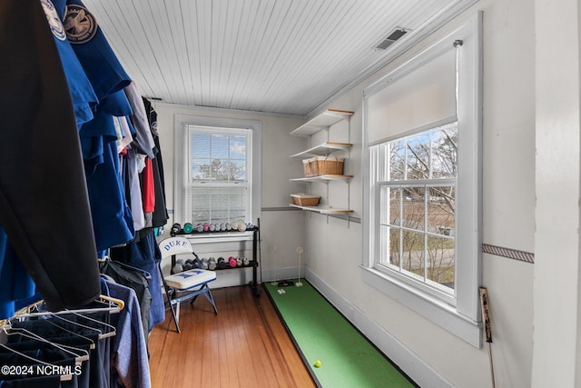 spacious closet with dark wood-type flooring