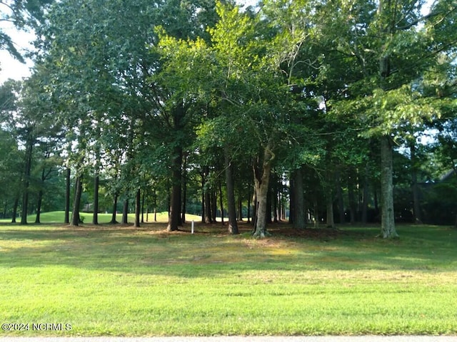 LOT1 Roanoke Dr, Hertford NC, 27944 land for sale