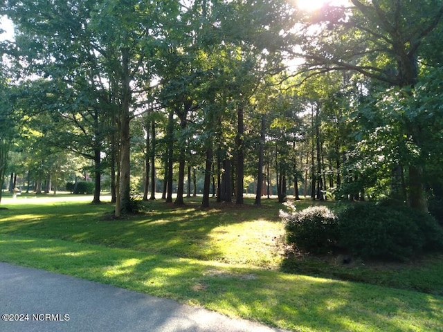 Listing photo 3 for LOT1 Roanoke Dr, Hertford NC 27944