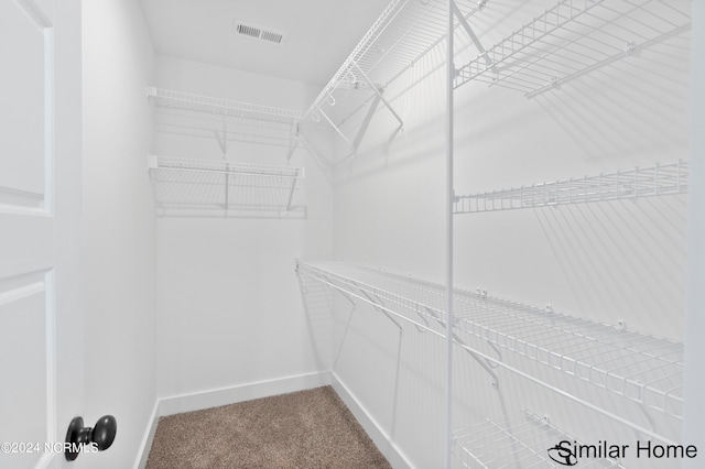 walk in closet with carpet