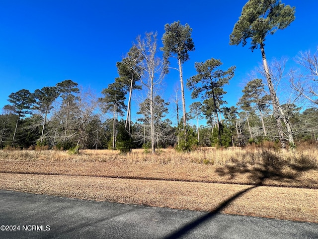 LOT63 Bailey Pointe, Belhaven NC, 27810 land for sale