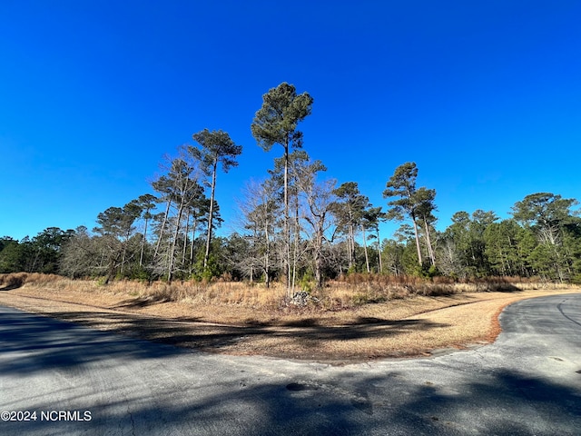 Listing photo 2 for LOT63 Bailey Pointe, Belhaven NC 27810