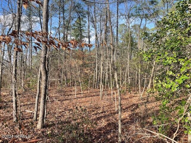 Listing photo 3 for 0 Plantation Rd Unit 20, Elizabethtown NC 28337