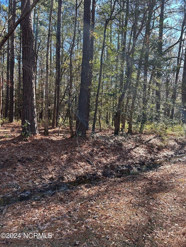 0 Pamlico River Dr Unit 123, Washington NC, 27889 land for sale