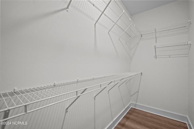 spacious closet featuring hardwood / wood-style floors