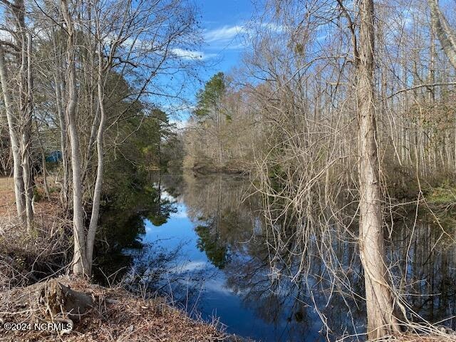 Listing photo 3 for 27 Big Creek Cir # 9, Lake Waccamaw NC 28450