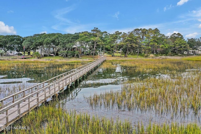 dock area with a water view