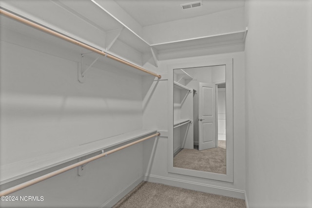 spacious closet with light carpet