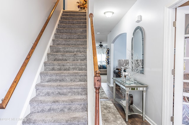 stairway featuring ceiling fan and hardwood / wood-style flooring