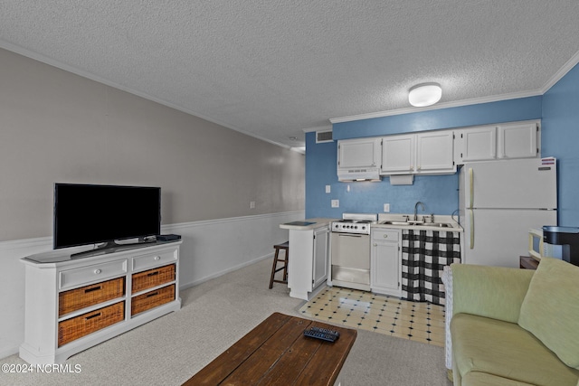 living room featuring crown molding, a textured ceiling, sink, and light colored carpet