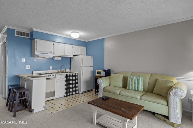 living room featuring sink, light colored carpet, ornamental molding, and a textured ceiling