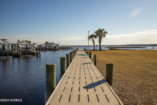 dock area with a water view