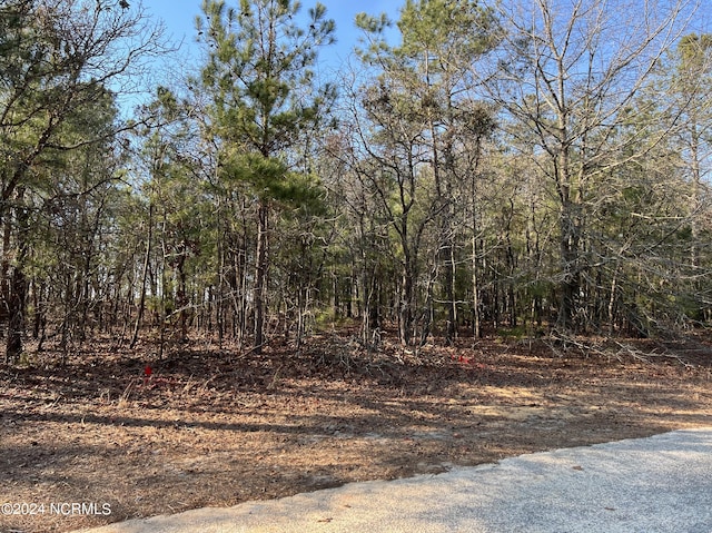 LOT20 Old Tom Morris Rd Unit 20, Garland NC, 28441 land for sale