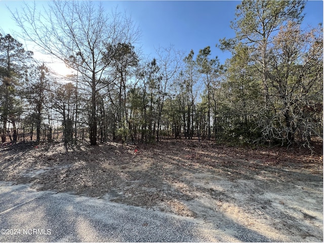 Listing photo 2 for LOT20 Old Tom Morris Rd Unit 20, Garland NC 28441