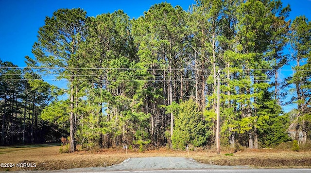 1.13ACRES Hwy 41 Unit 13, Trenton NC, 28585 land for sale