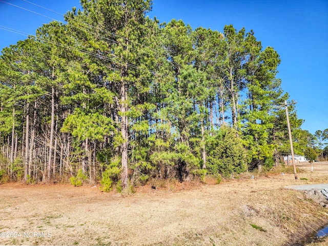 Listing photo 3 for 1.13ACRES Hwy 41 Unit 13, Trenton NC 28585