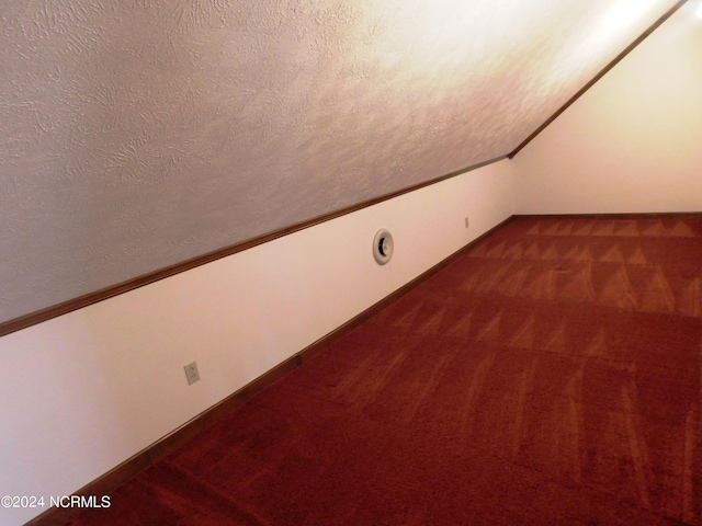 room details with a textured ceiling and dark colored carpet