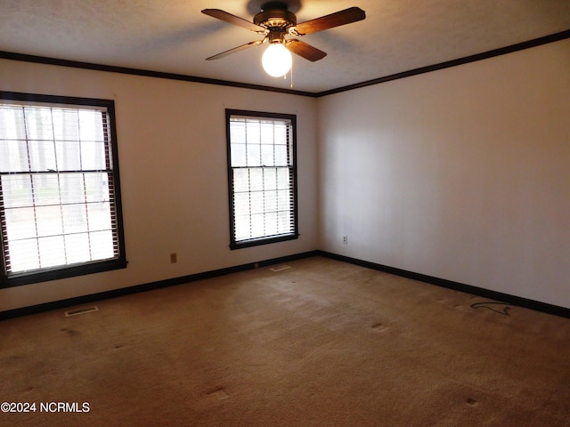 spare room with ceiling fan, carpet floors, and ornamental molding