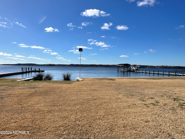 dock area with a water view