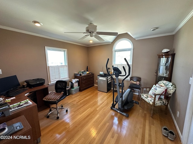 office area featuring ceiling fan, crown molding, light hardwood / wood-style floors, and plenty of natural light