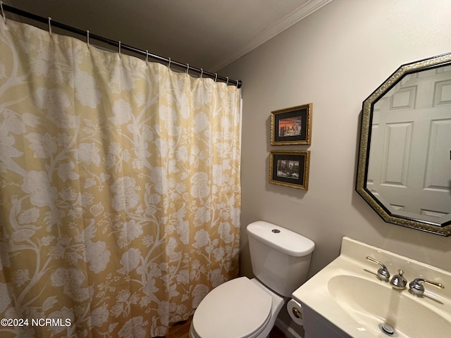 bathroom featuring crown molding, toilet, and vanity with extensive cabinet space