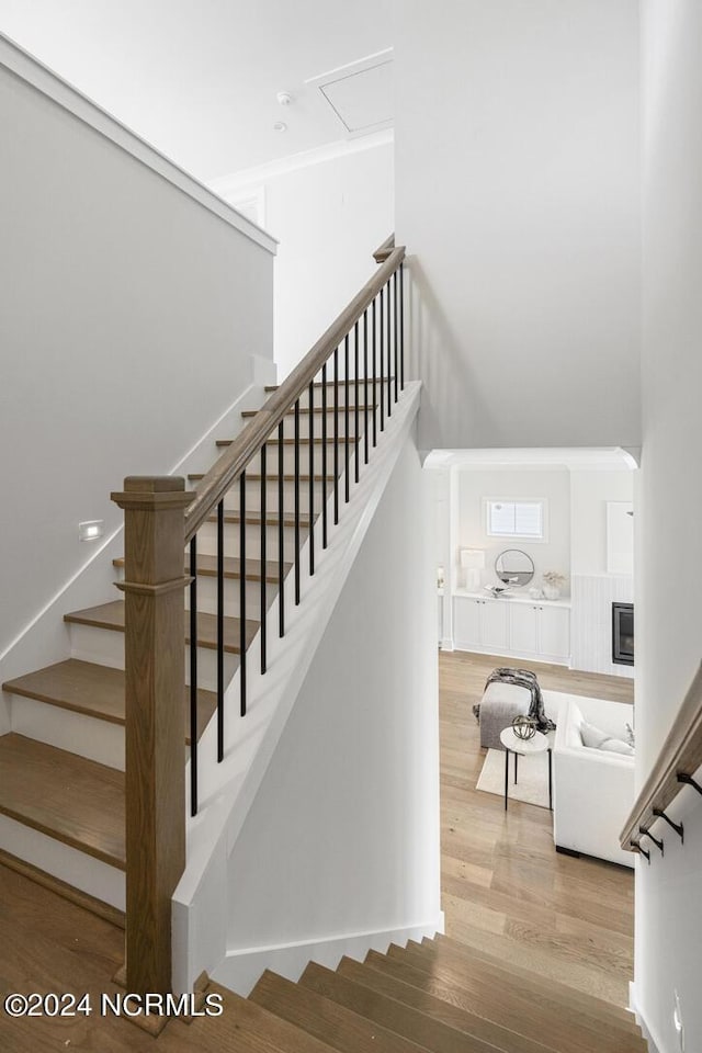 stairway with wood-type flooring