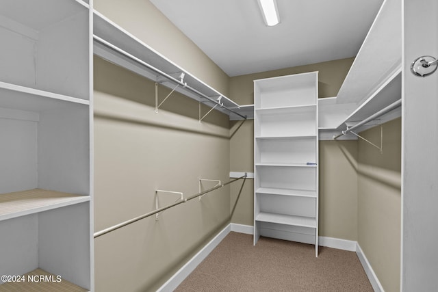 spacious closet with carpet floors