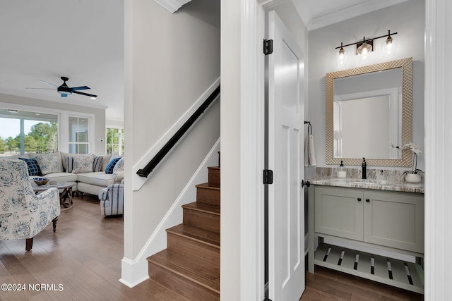 stairway featuring crown molding, dark hardwood / wood-style floors, ceiling fan, and sink