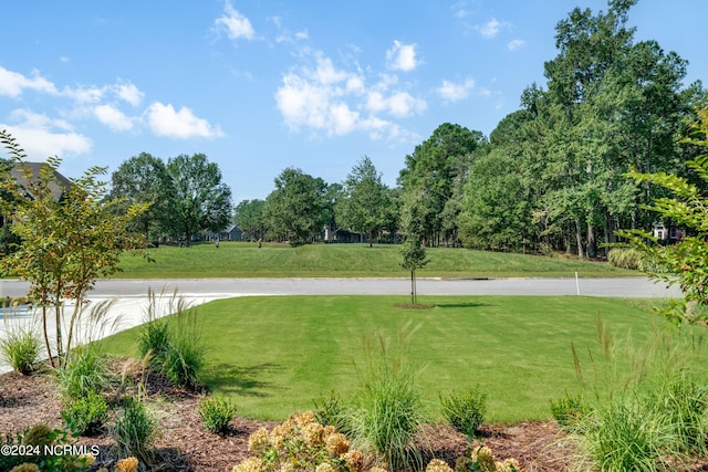 view of home's community with a yard