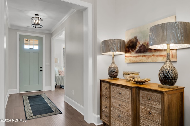 entrance foyer featuring ornamental molding and dark wood-type flooring