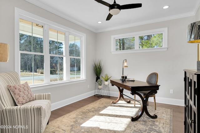 office area featuring ceiling fan, a healthy amount of sunlight, crown molding, and dark hardwood / wood-style floors