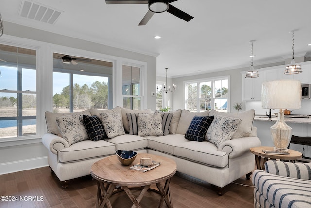 living room with a wealth of natural light, dark hardwood / wood-style flooring, and ceiling fan with notable chandelier