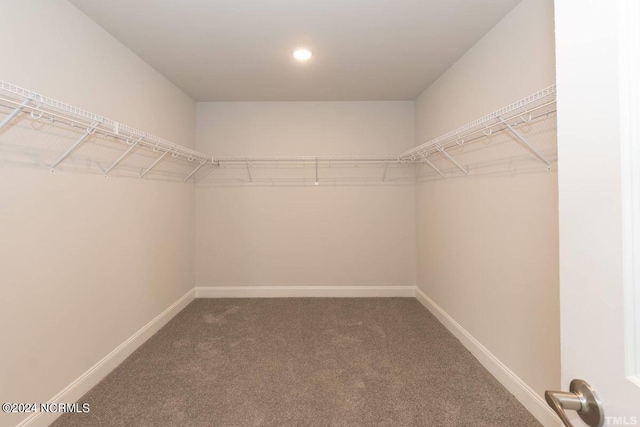 1204 Opaca Dr SE, Bolivia, NC 28422 - walk in closet with carpet floors