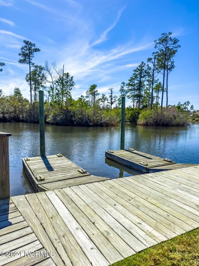 dock area with a water view