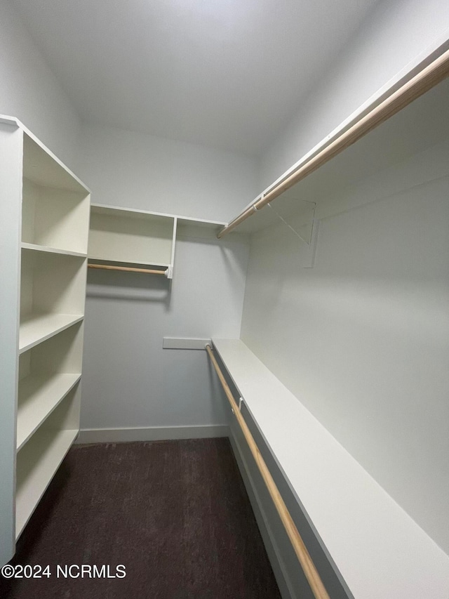 spacious closet featuring dark colored carpet