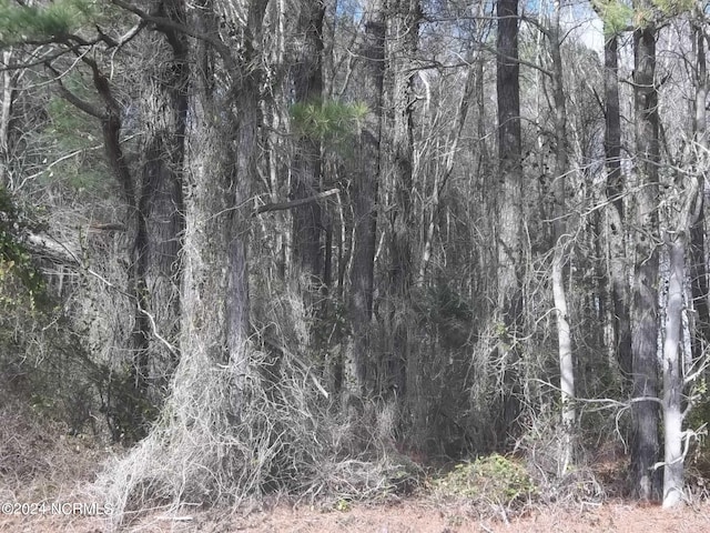 LOT2 Griffin Swamp Rd Unit 2, Elizabeth City NC, 27909 land for sale