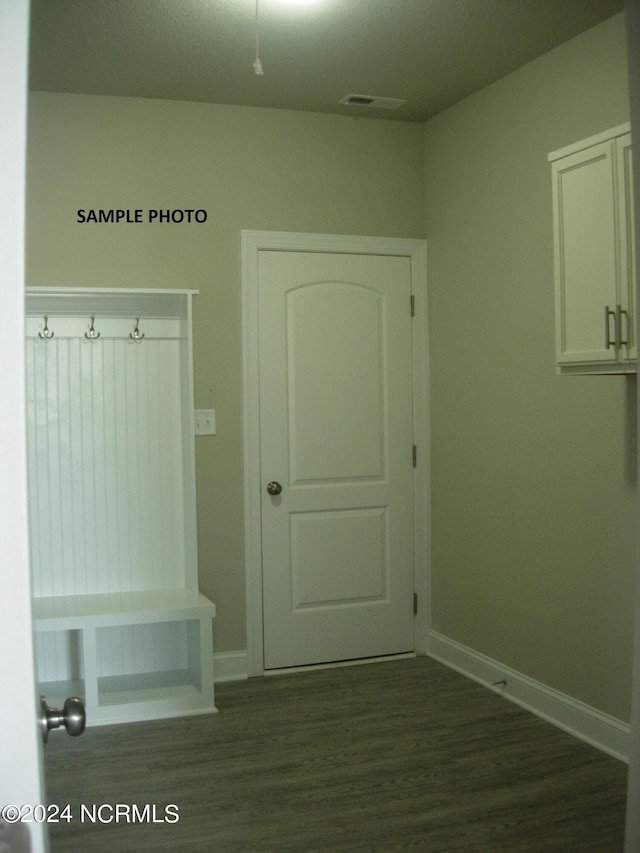 mudroom with dark wood-type flooring