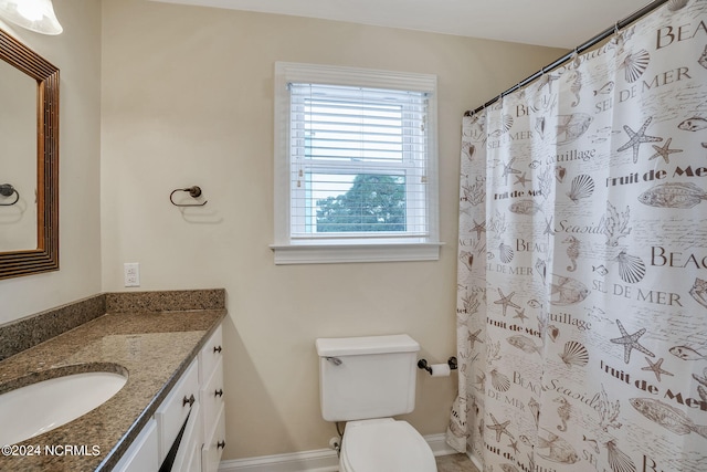 bathroom featuring toilet and vanity with extensive cabinet space