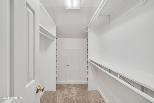 walk in closet featuring light colored carpet