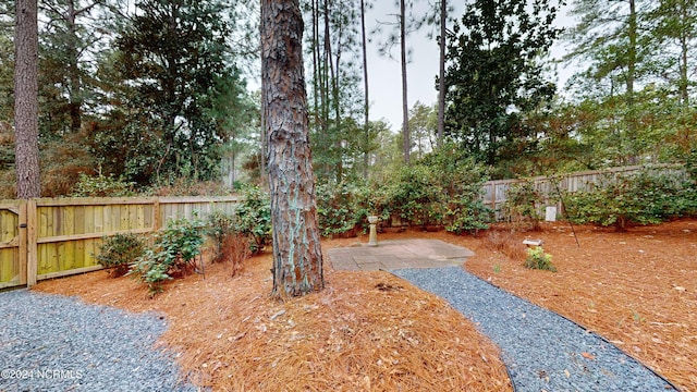 view of yard featuring a patio