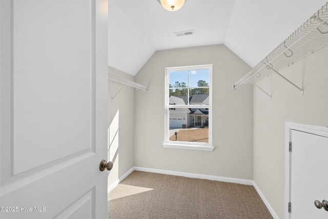 walk in closet featuring vaulted ceiling and carpet floors