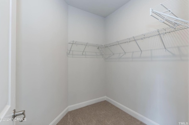 spacious closet with carpet