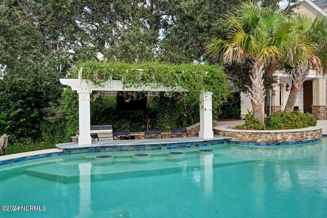 view of swimming pool featuring area for grilling