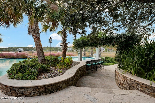 view of nearby features with a swimming pool and a patio