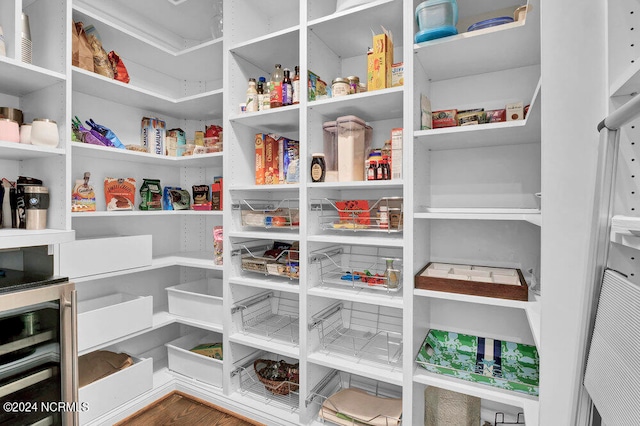 pantry with beverage cooler