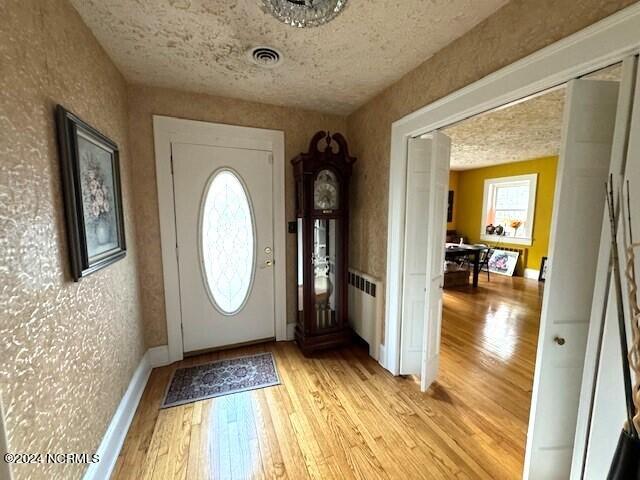 entryway with light wood-type flooring and a wealth of natural light