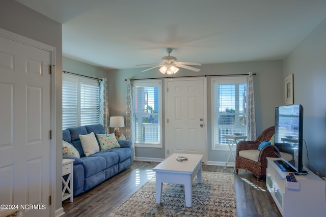 living room with ceiling fan and dark wood-type flooring