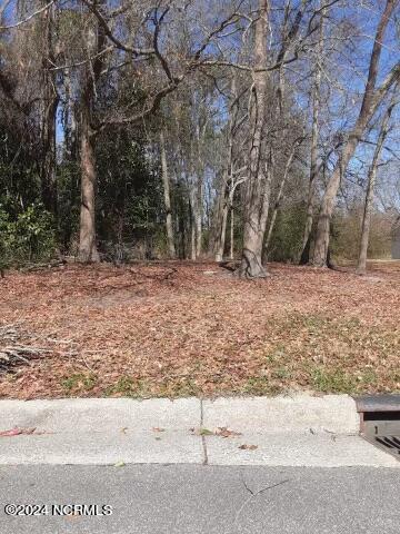 0 First St, Ayden NC, 28513 land for sale