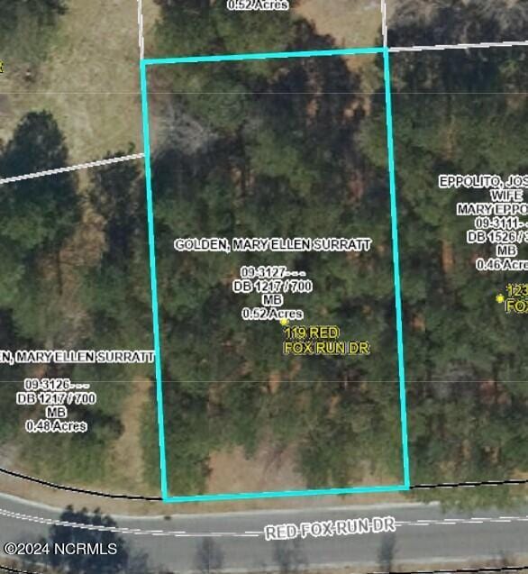 119 Red Fox Run Dr Unit 90, Wallace NC, 28466 land for sale